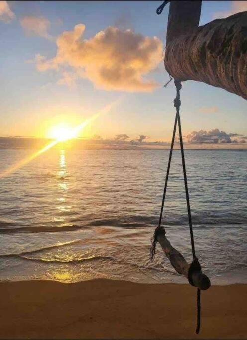 Breezy Beachfront Bali-Style Haven 180 Degree Oceanview Hau'ula Extérieur photo