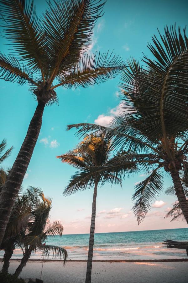 Breezy Beachfront Bali-Style Haven 180 Degree Oceanview Hau'ula Extérieur photo